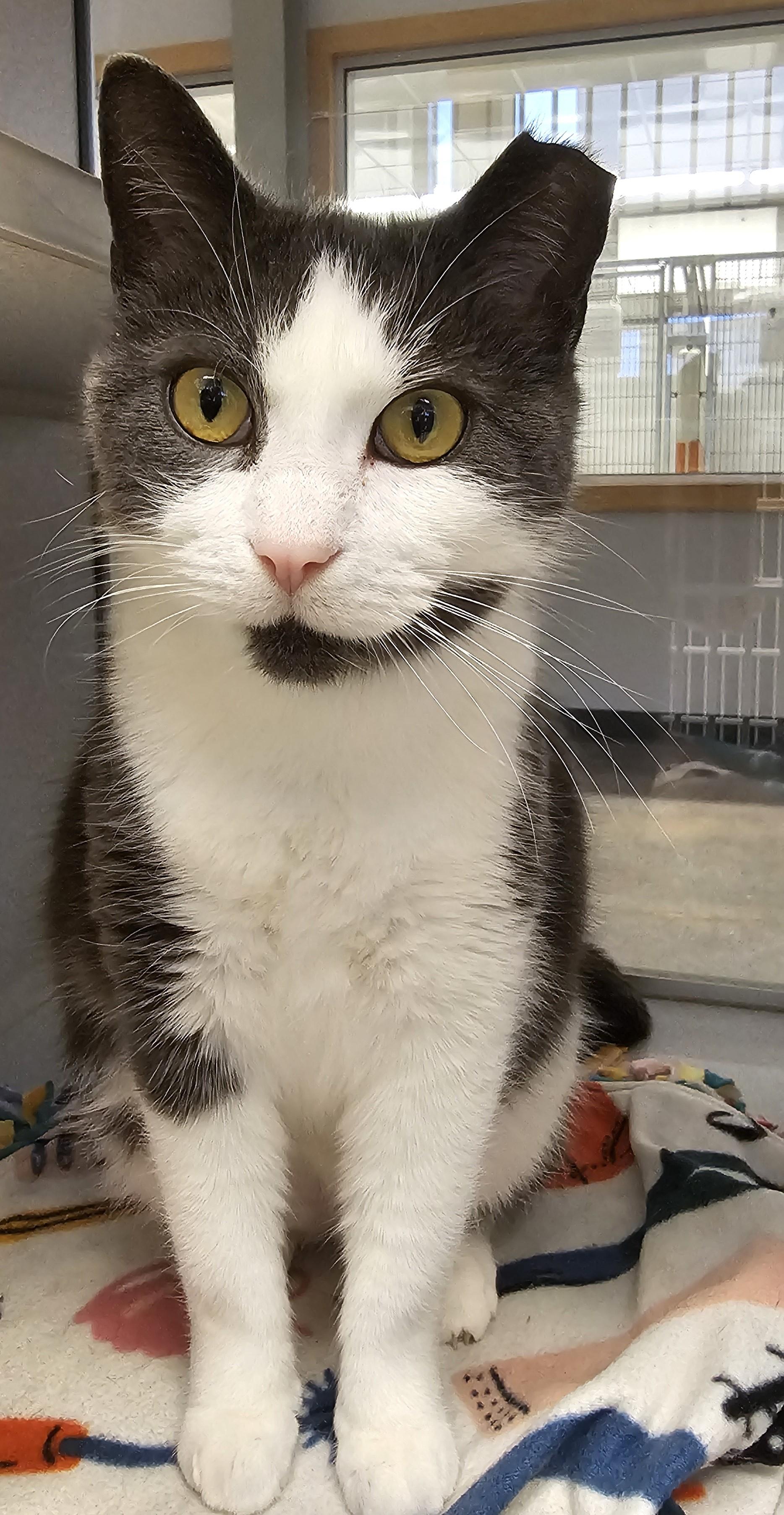 Sugar — thumbnail 5