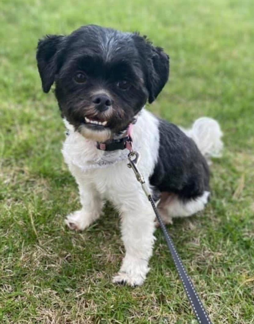 Minnieos thumbnail 2