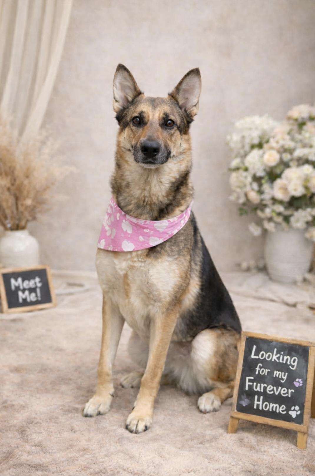 Patricia — thumbnail 4