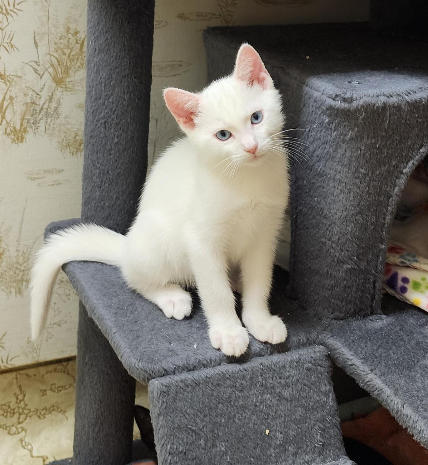 Trick Or Treats? thumbnail 5