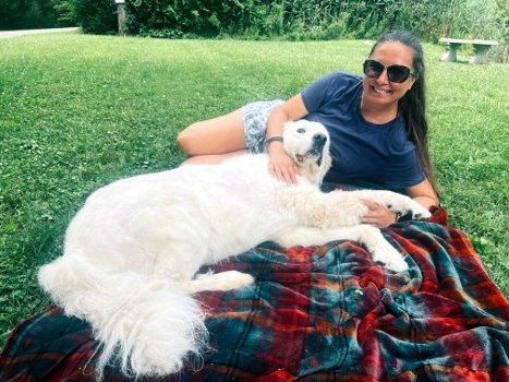 Chevy, a Adoptable Great Pyrenees in Bedford Hills, NY image 4/5
