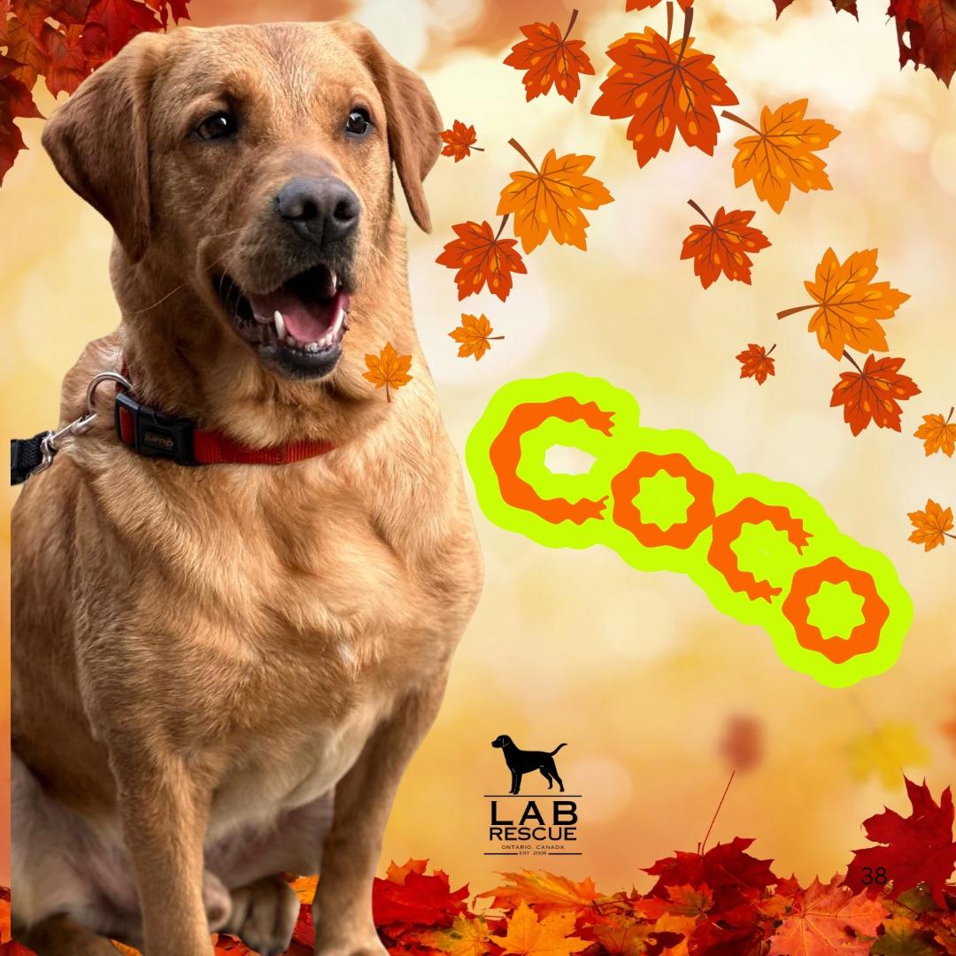 Coco 1