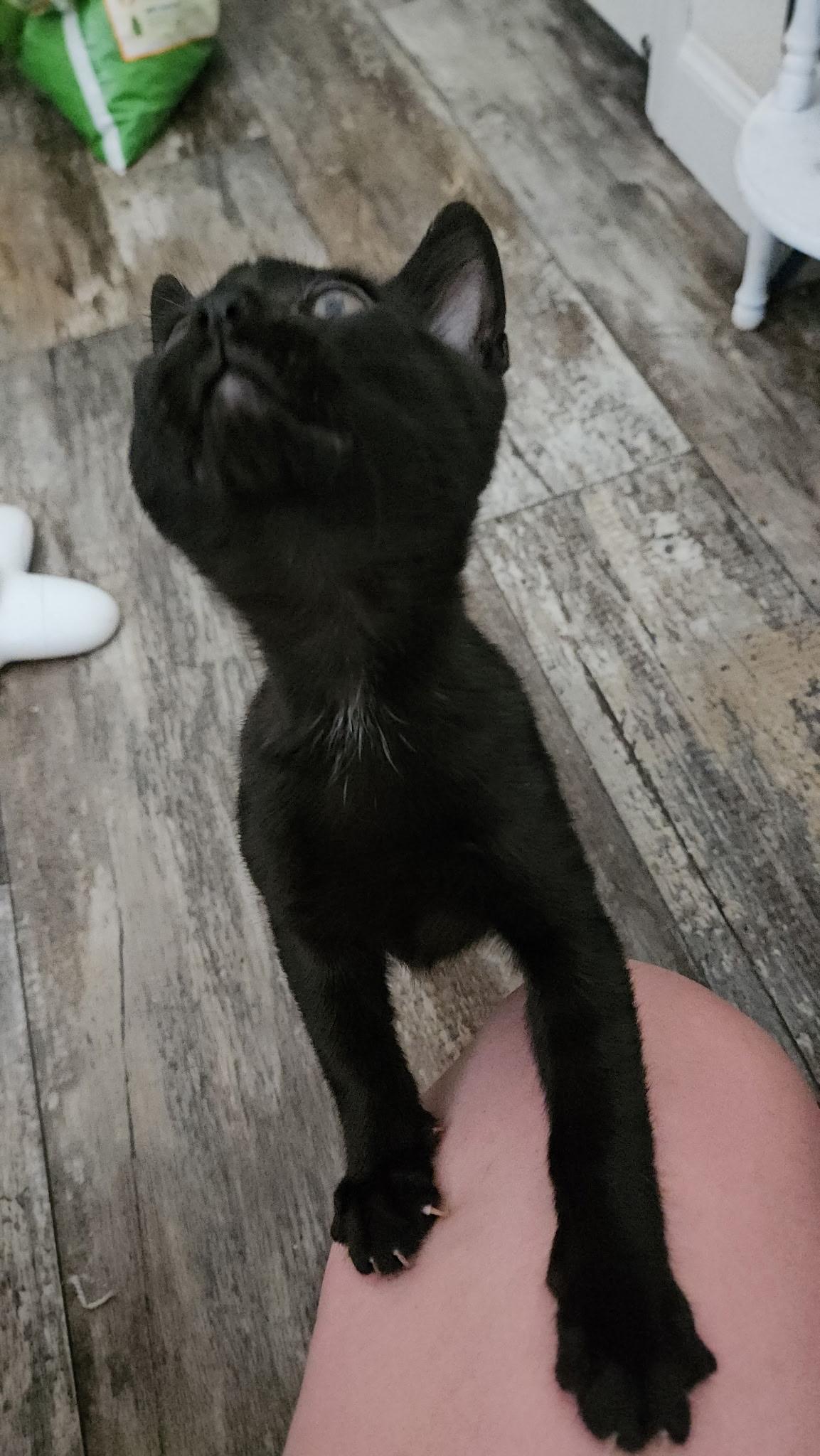 Bobby