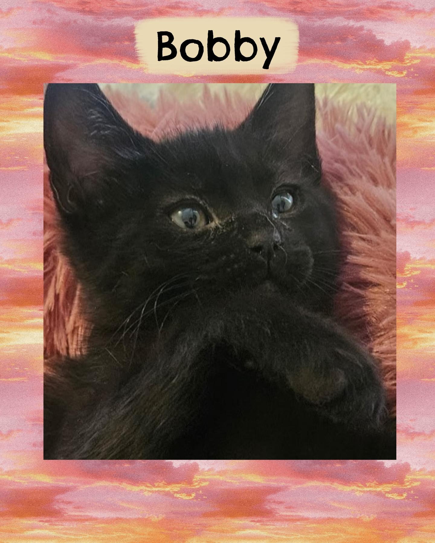 Bobby