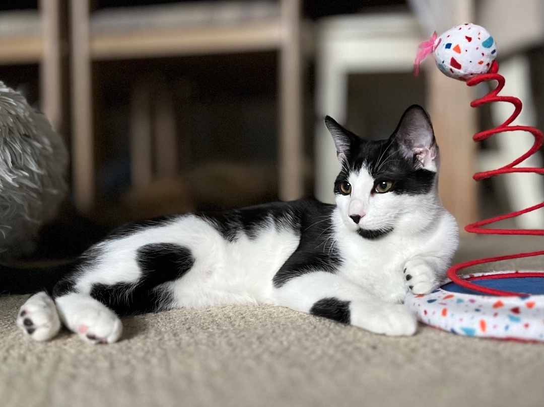 Rue (f) — thumbnail 2