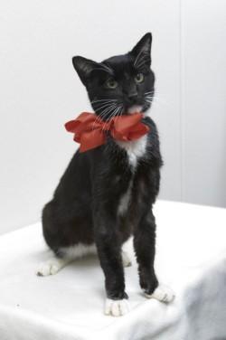 Liam — thumbnail 2