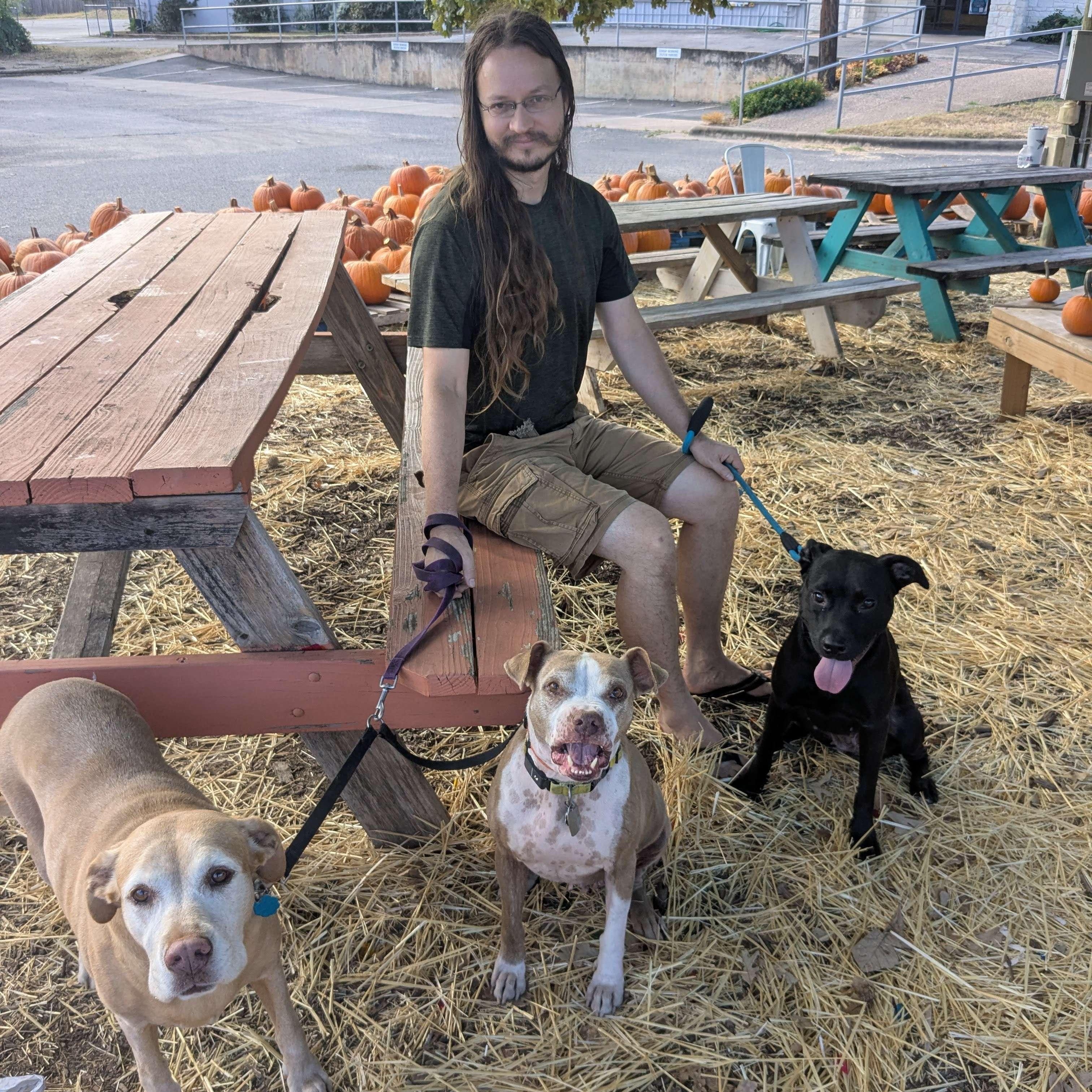 Pepper, a Adoptable mixed breed in Austin, TX image 6/6