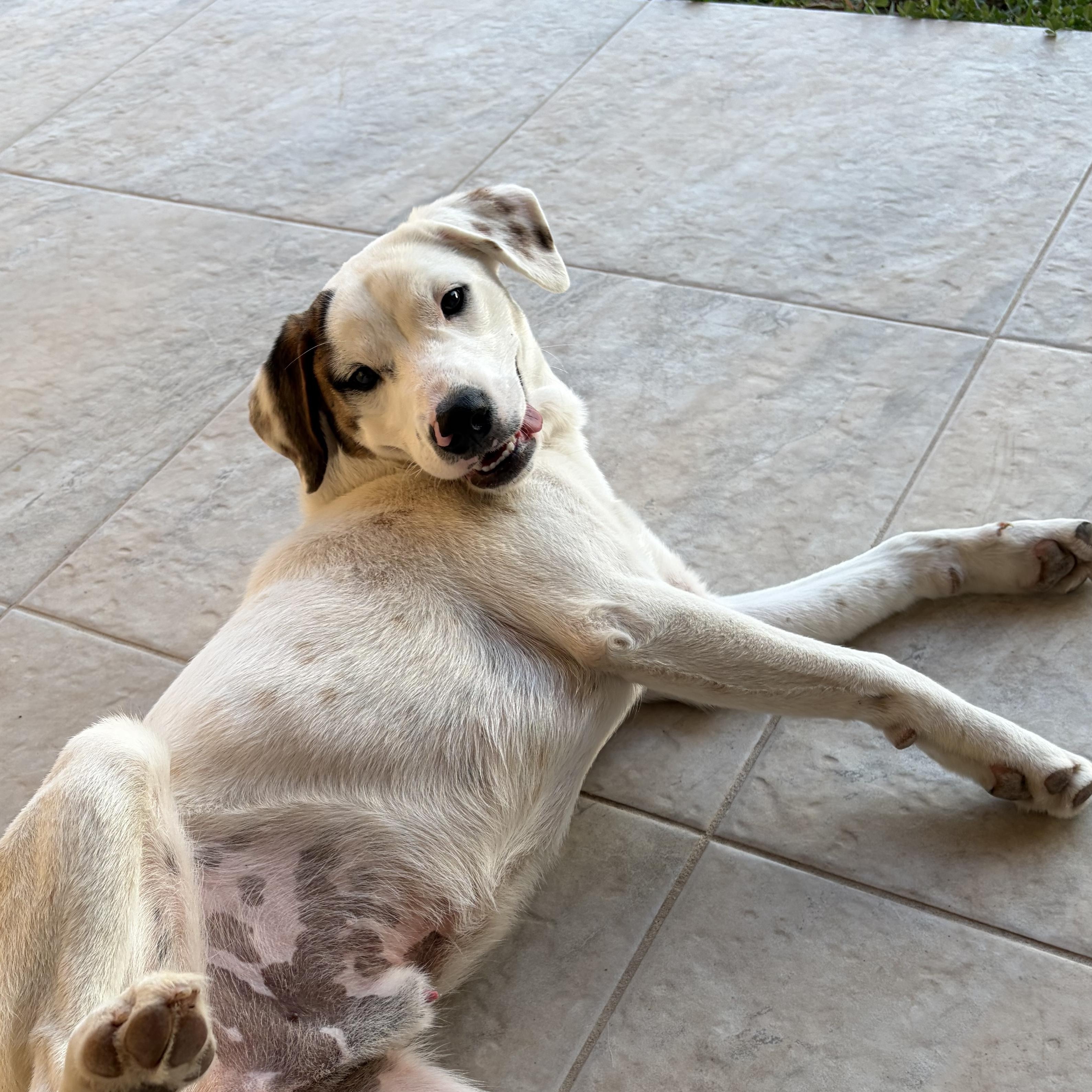 Lucas — thumbnail 2