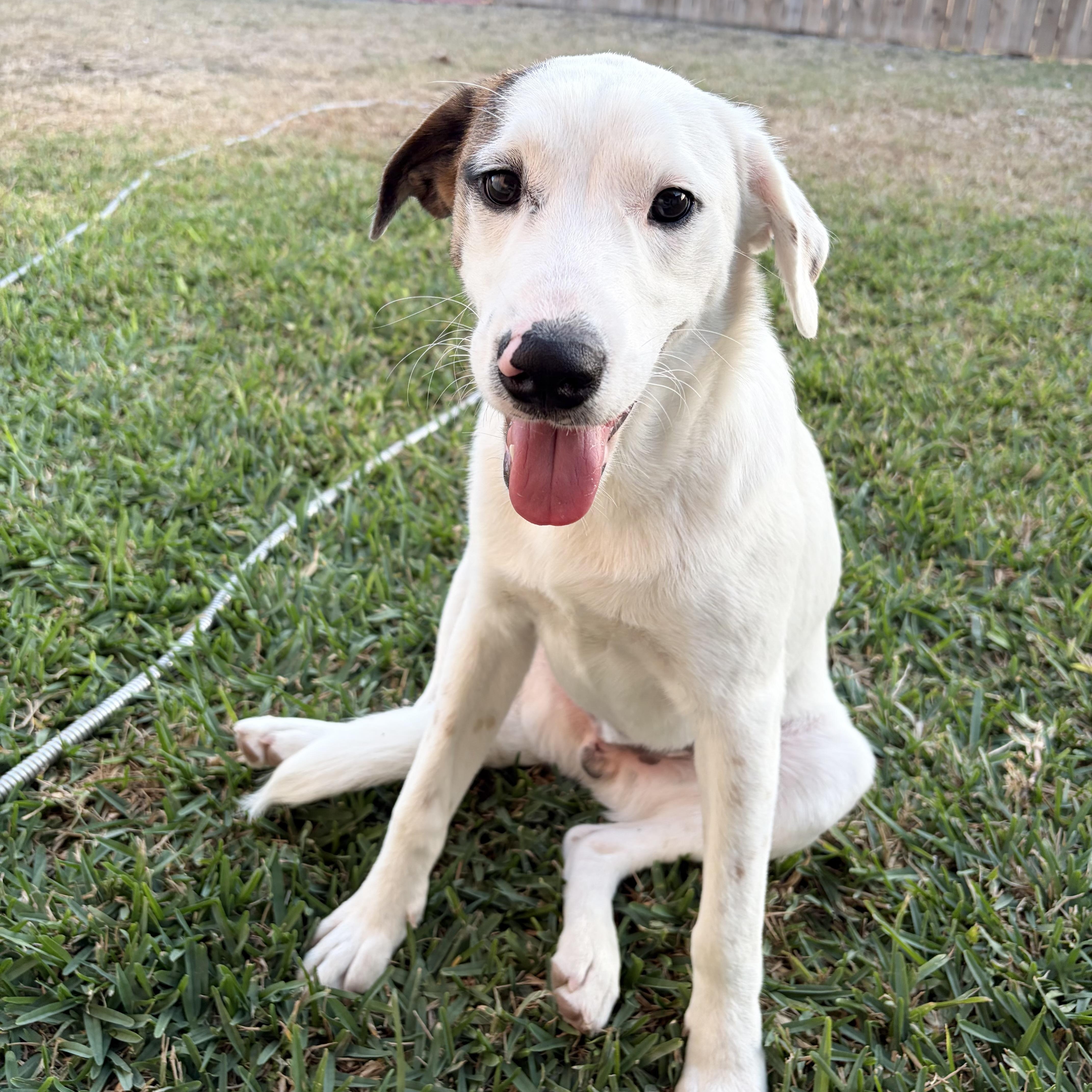 Lucas — thumbnail 5