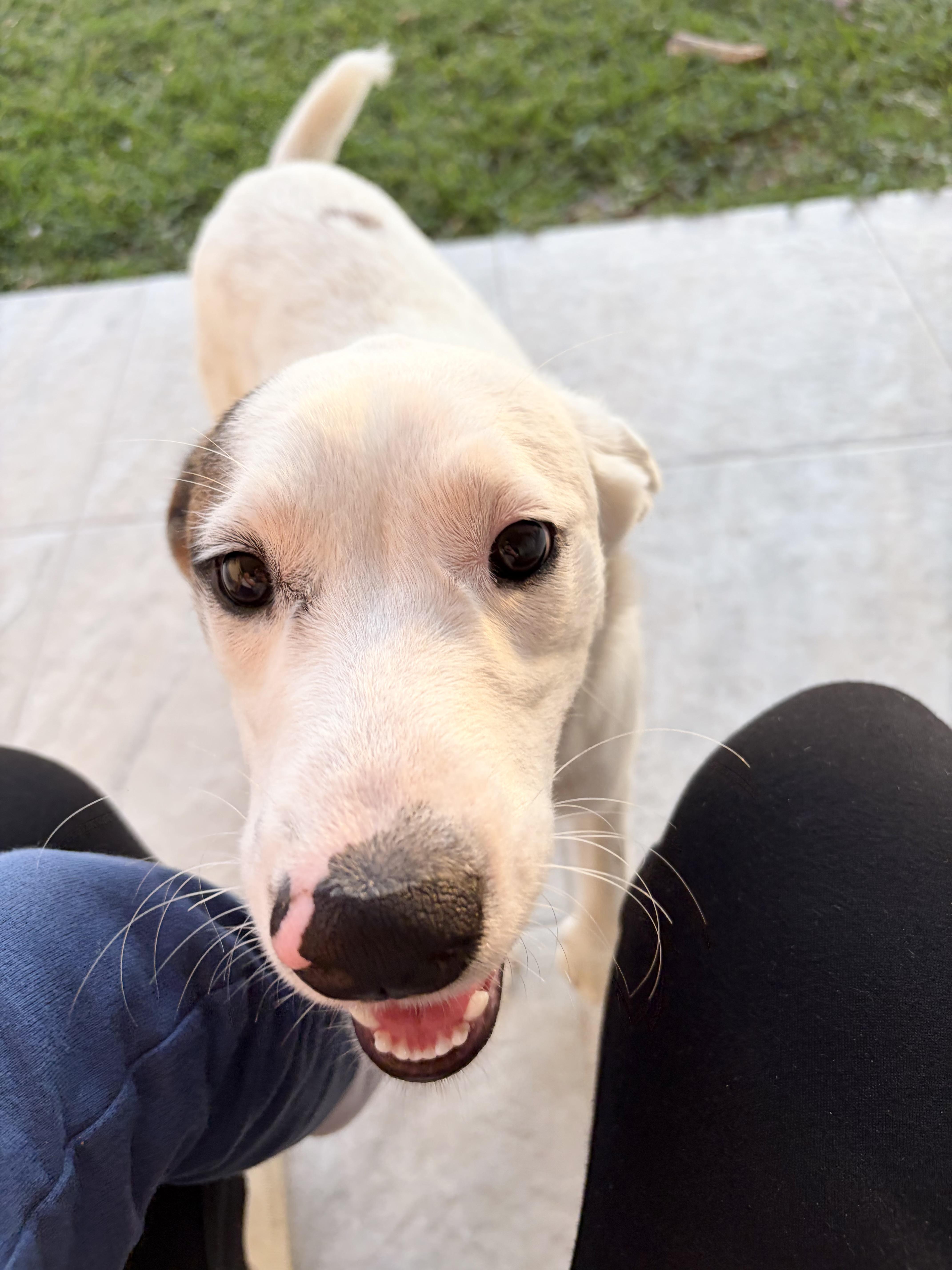 Lucas — thumbnail 6