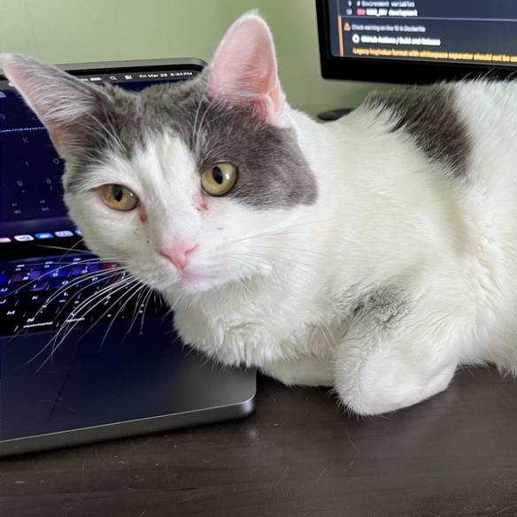 Sina — thumbnail 4