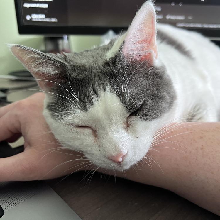 Sina — thumbnail 6