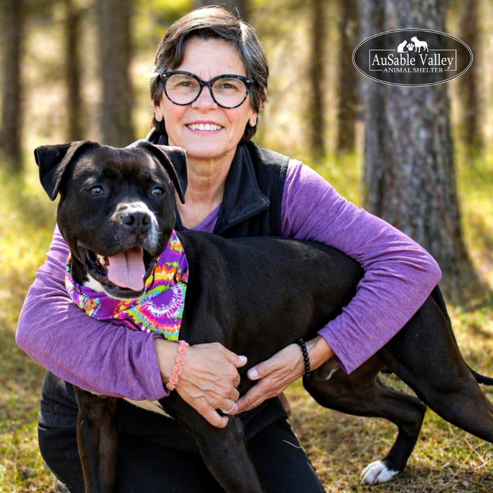 Enlarge Flynn, a ADOPTABLE mixed breed in Grayling, MI image 2/6