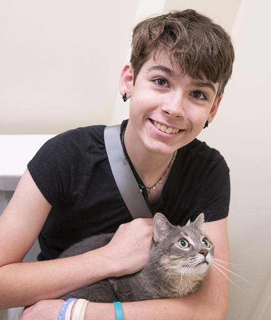 Enlarge Gus, a ADOPTABLE mixed breed in Chicago, IL image 3/3