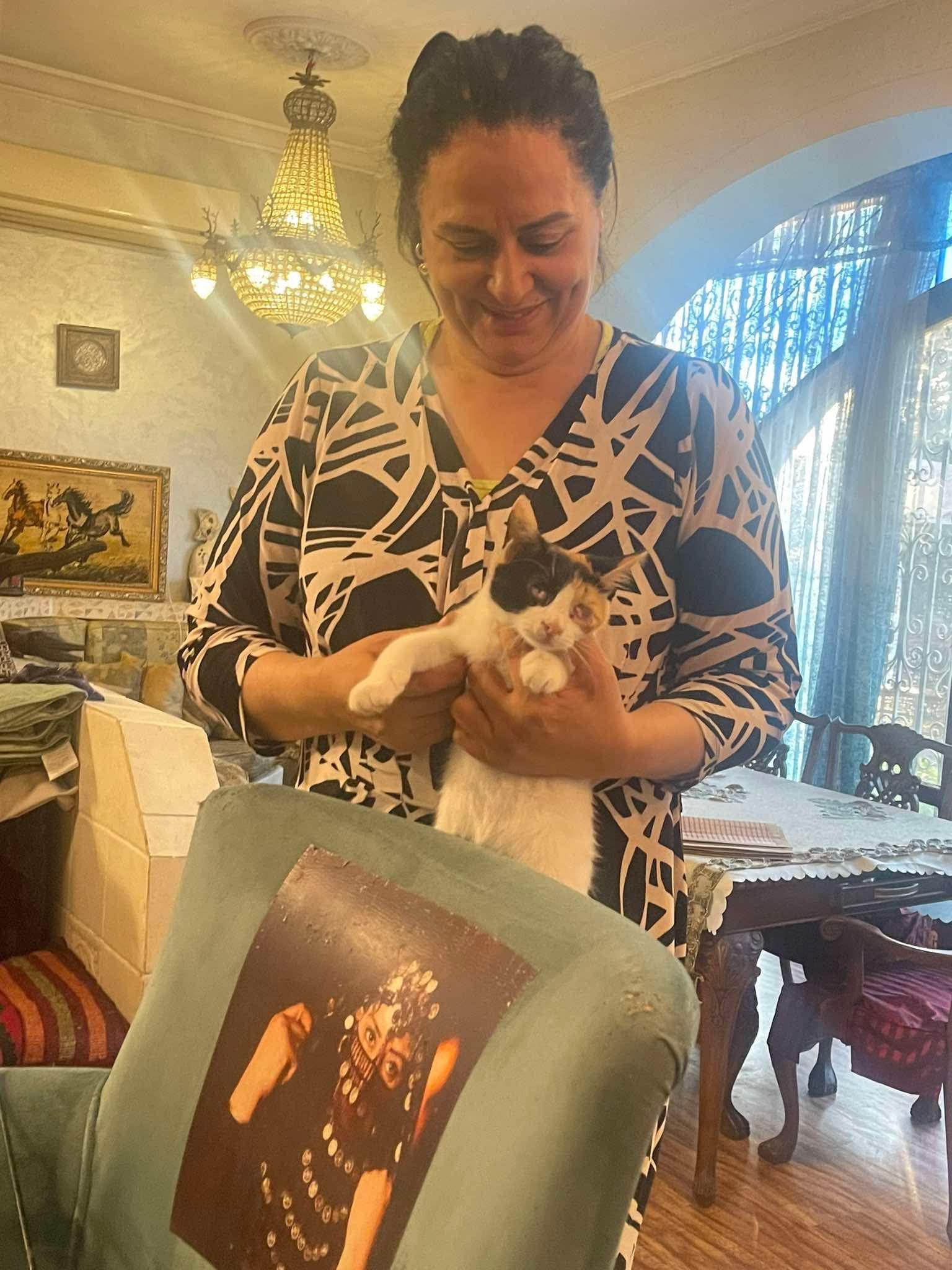 Blind kitten and mom Amal's kitties photo 3