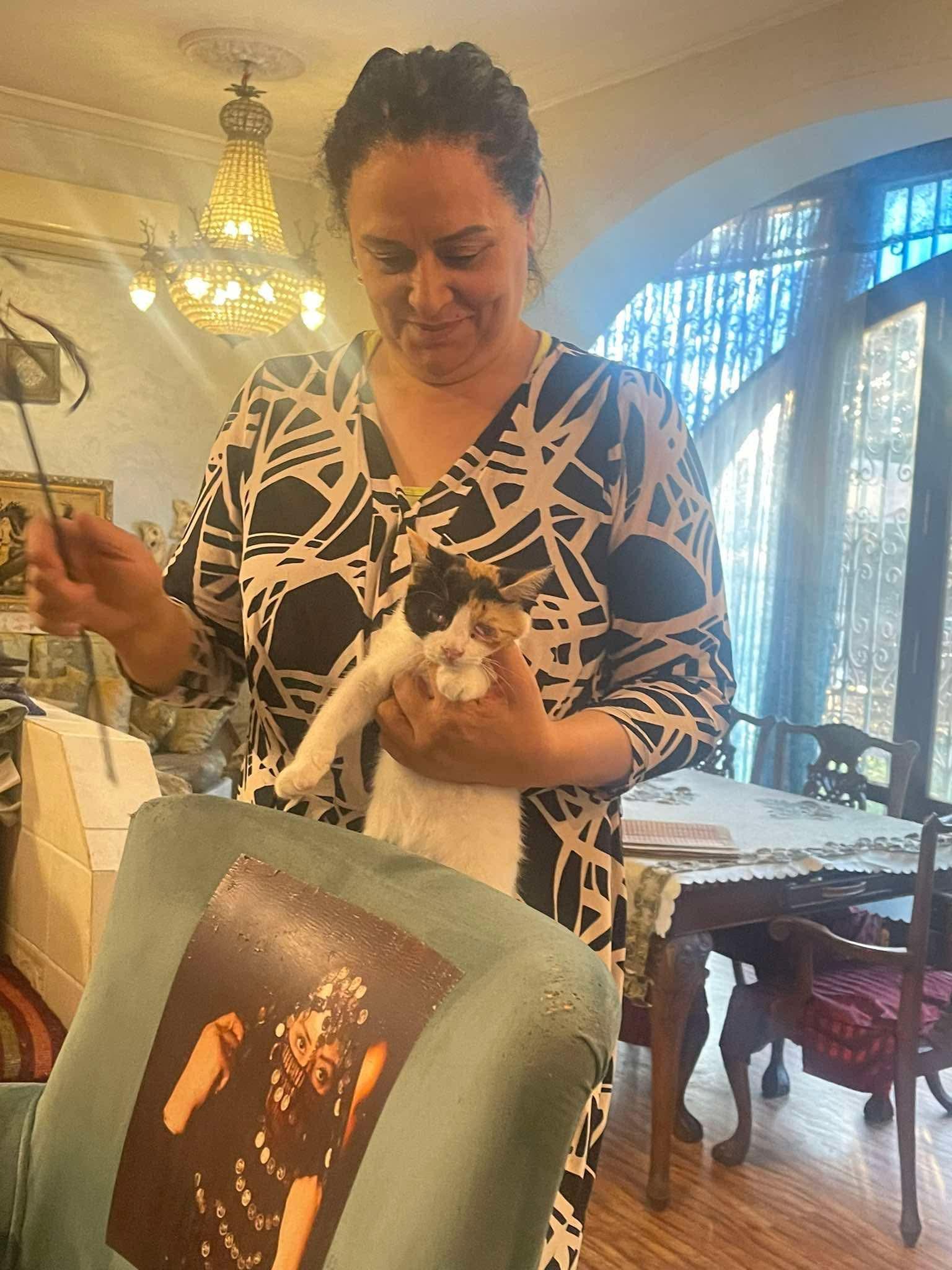 Blind kitten and mom Amal's kitties photo 4