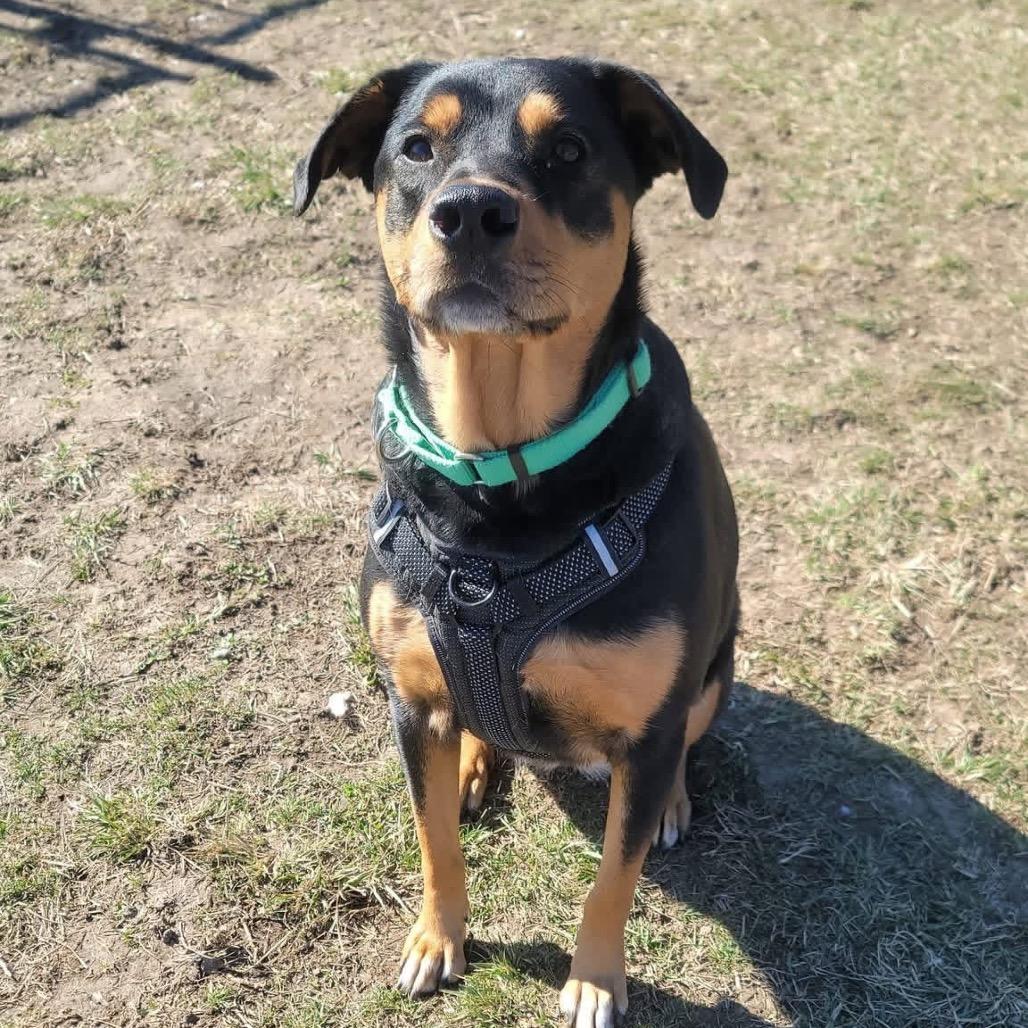 Luna Ginny — thumbnail 2