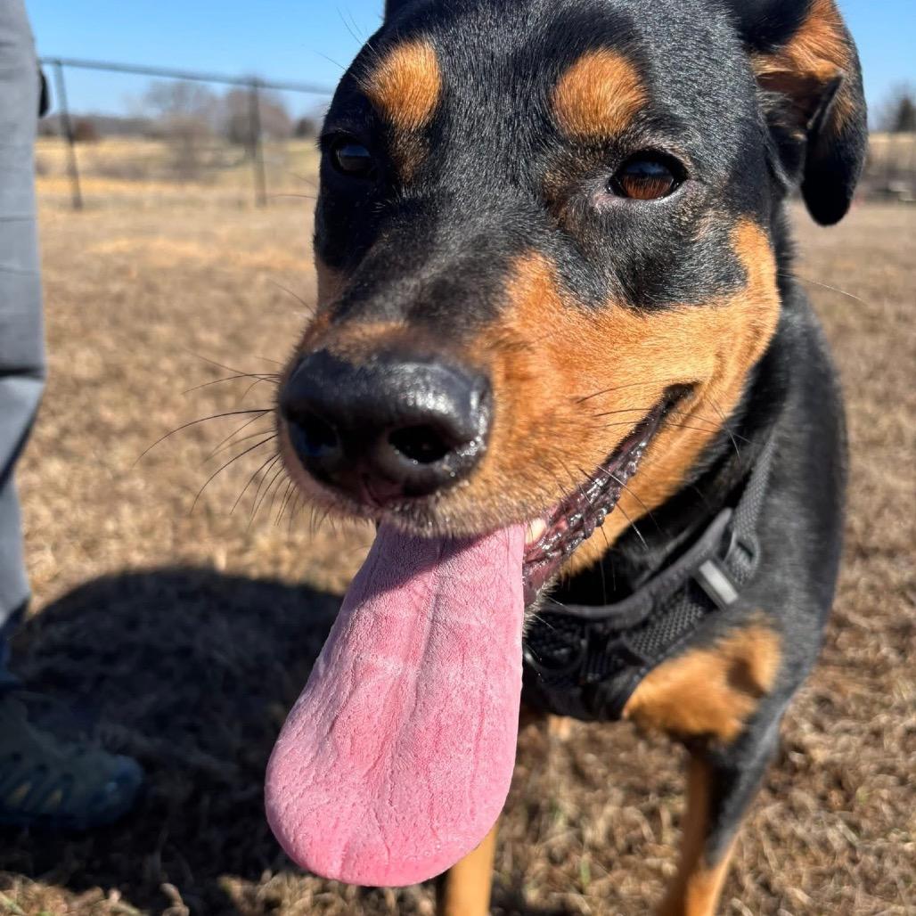 Luna Ginny — thumbnail 3