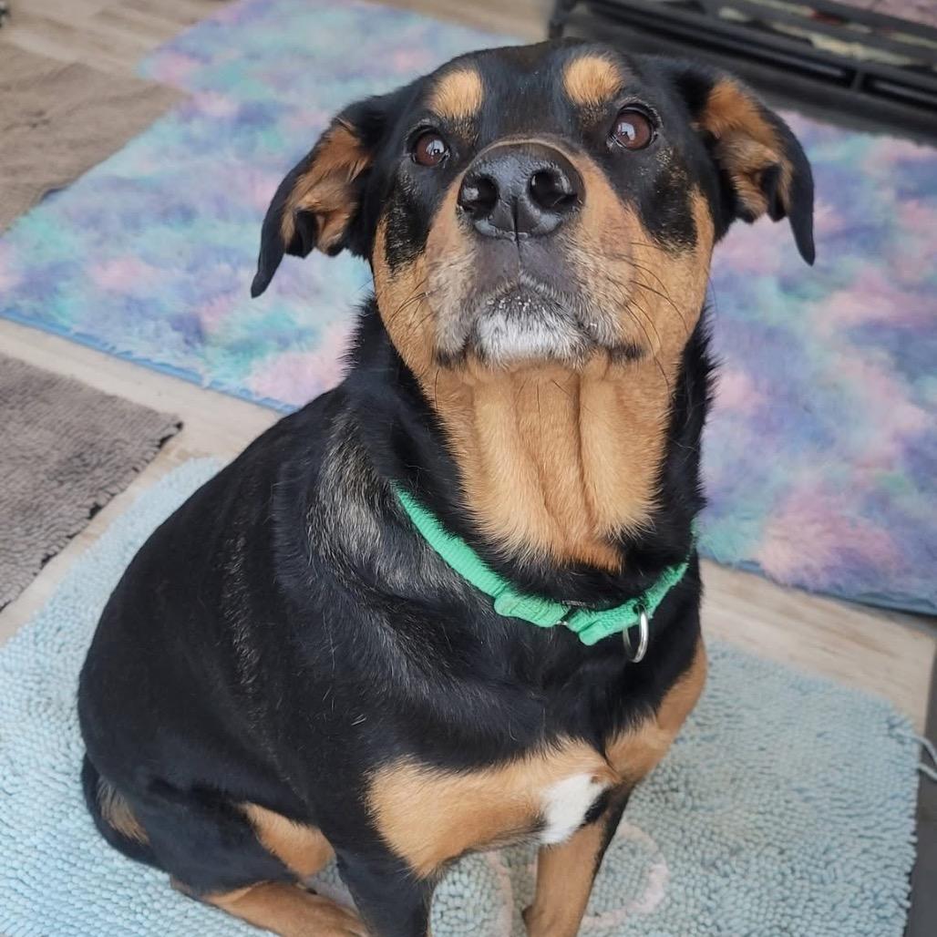 Luna Ginny — thumbnail 4