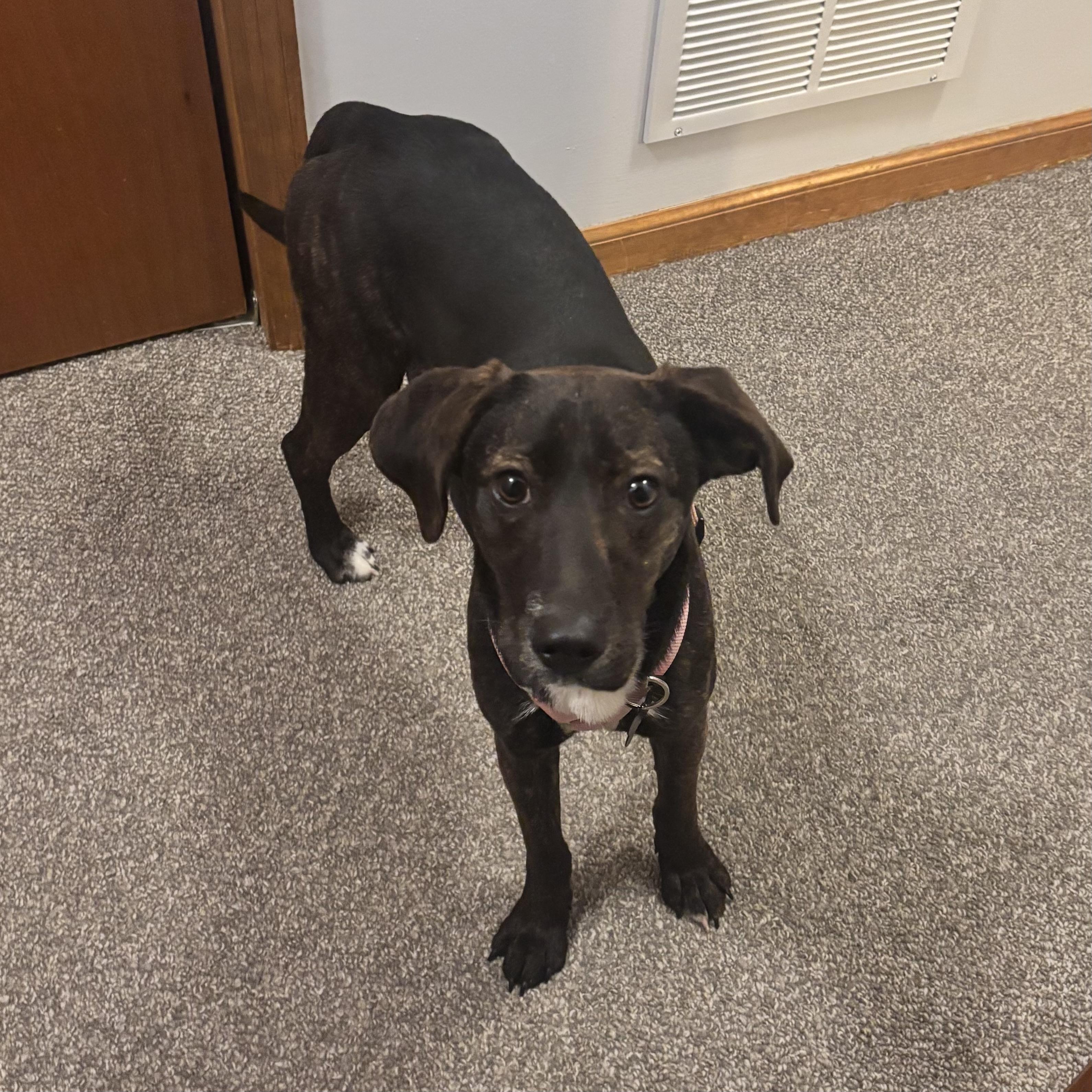 Sea Salt — thumbnail 4