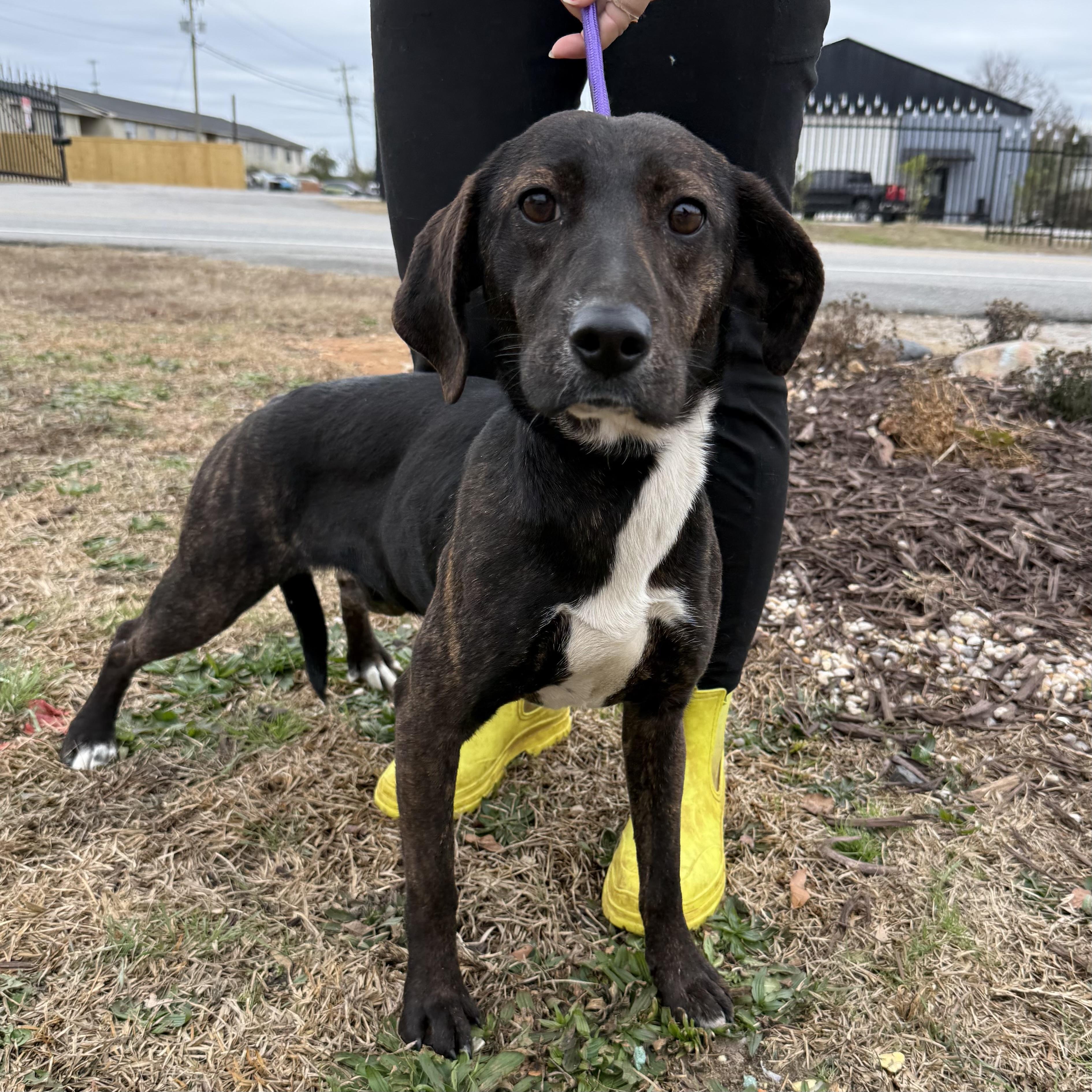 Sea Salt — thumbnail 5