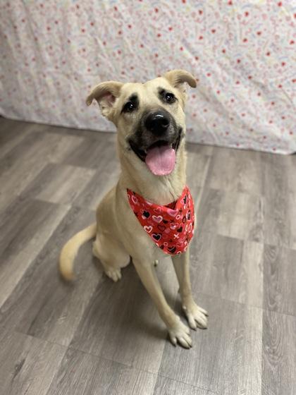 JACK — thumbnail 2