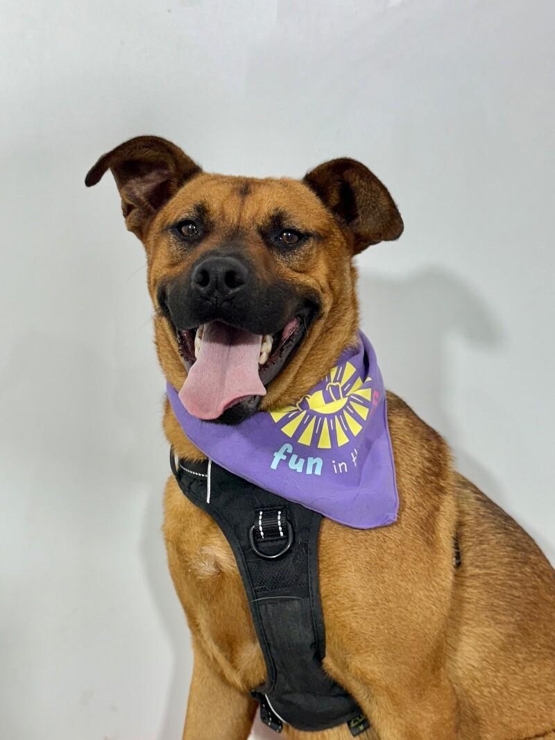 James Brown thumbnail 2