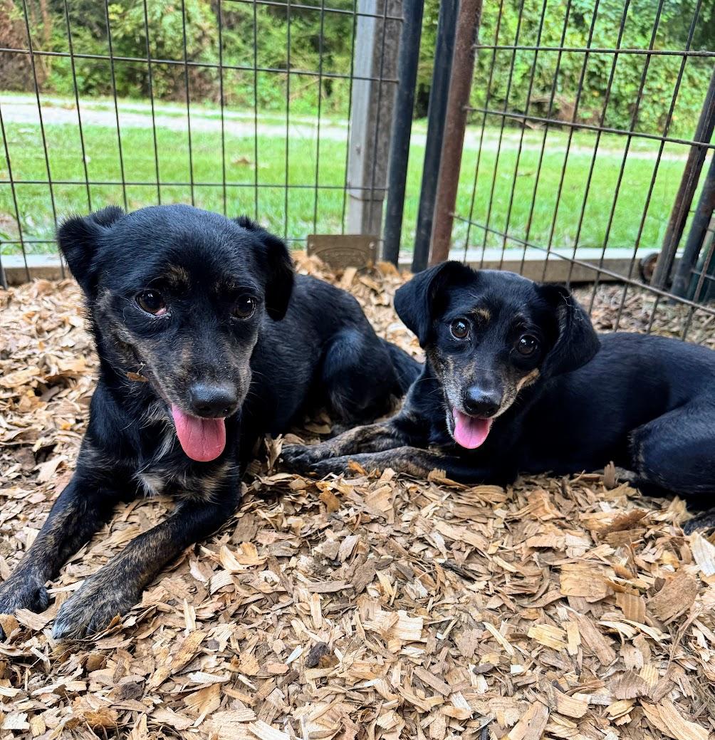 JENN — thumbnail 2