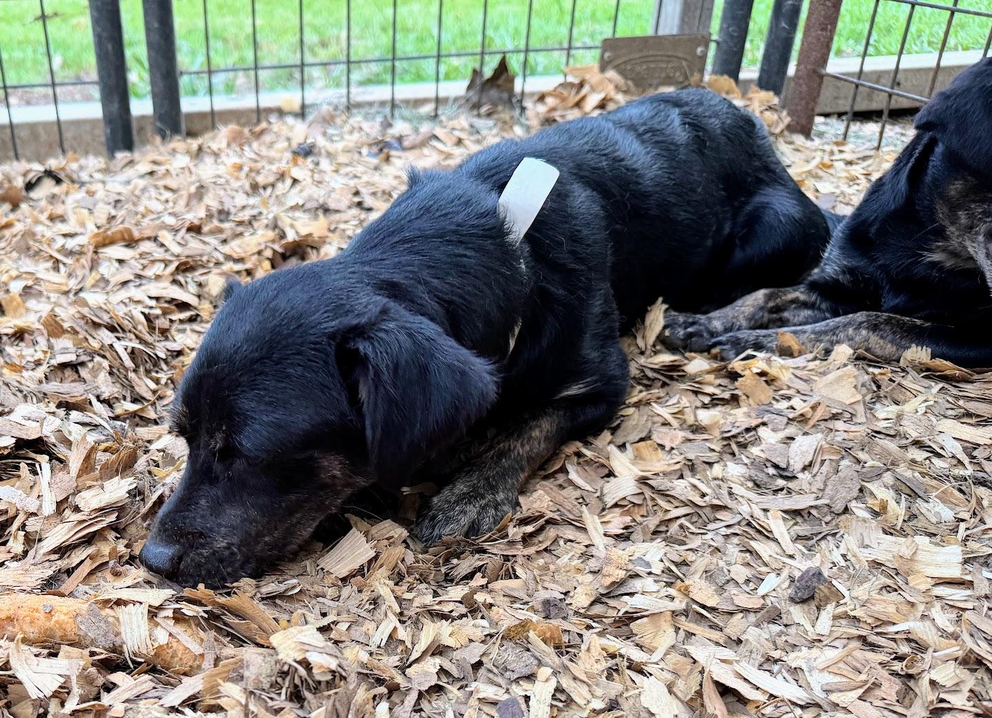 JENN — thumbnail 3