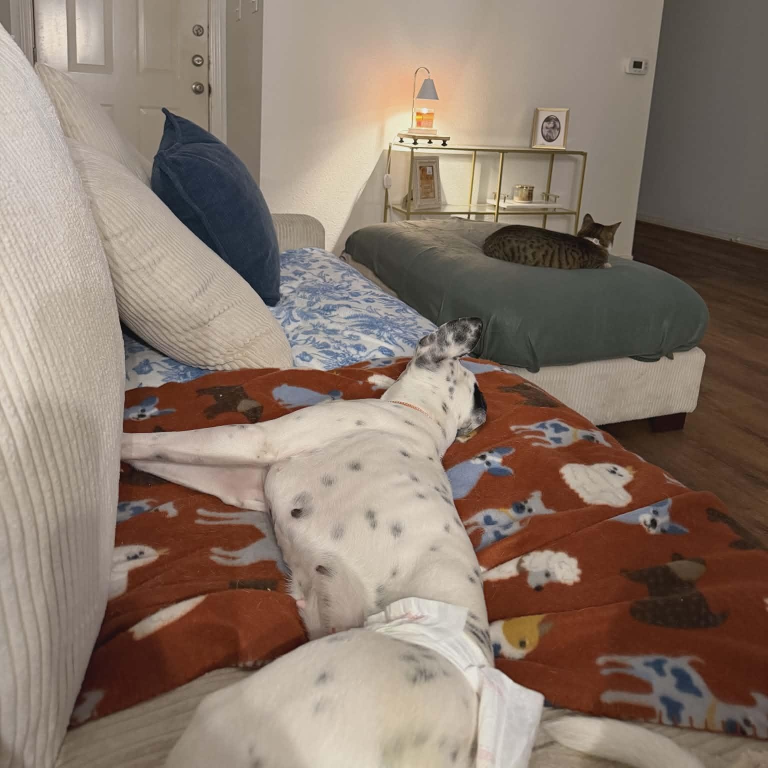 Honey Pie - The Social Butterfly