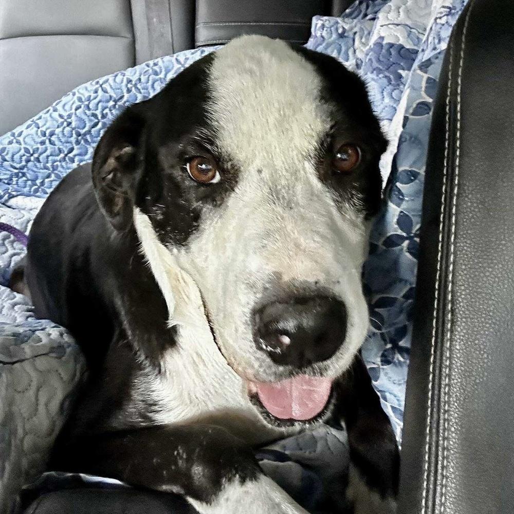 Toby Jay thumbnail 6