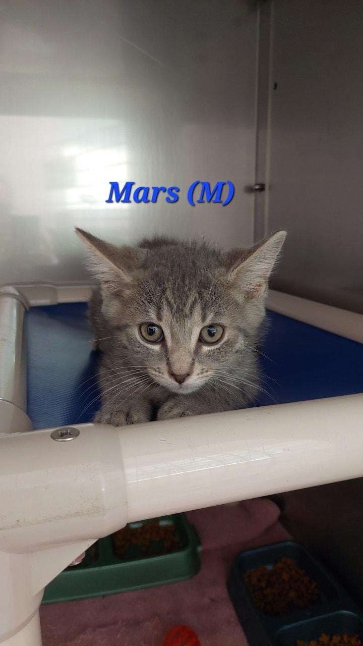 Mars