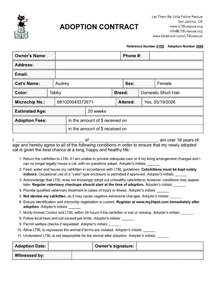 Enlarge Audrey, a Adoptable mixed breed in San Jacinto, CA image 3/4