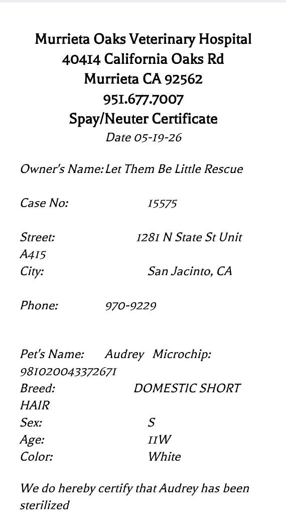 Enlarge Audrey, a Adoptable mixed breed in San Jacinto, CA image 2/2