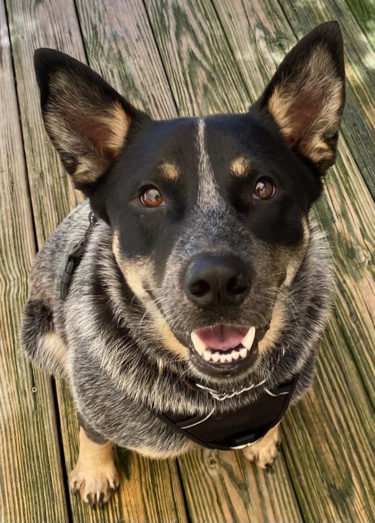 Shaggy fka Duncan McFerret