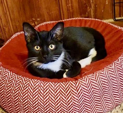 Dally, Willow Grove Area, (FCID 10/28/2025-131)