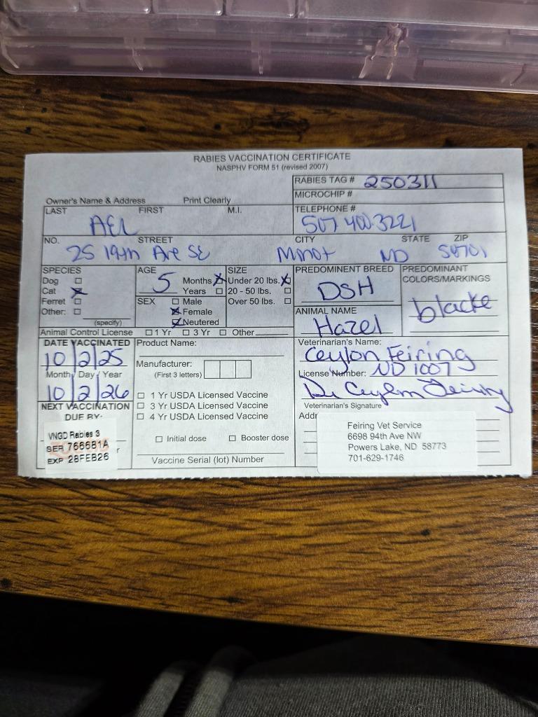 Enlarge Hazel, a Adopted mixed breed in Minot, ND image 3/4