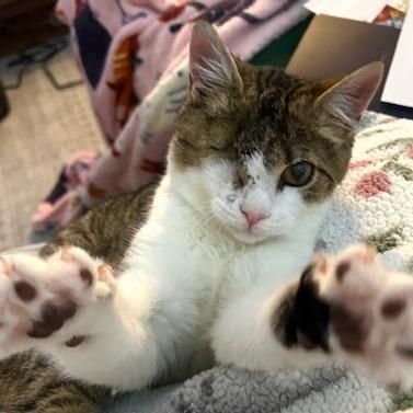 Timmy — thumbnail 2