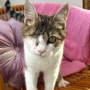 Timmy — thumbnail 3