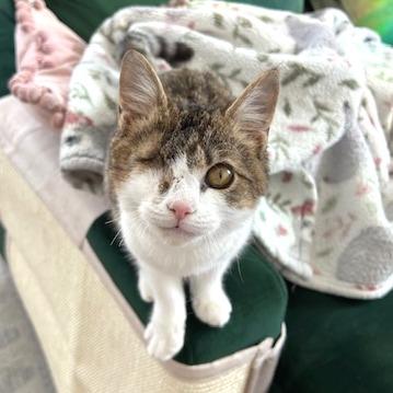 Timmy — thumbnail 5