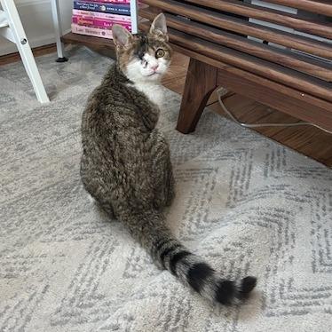 Timmy — thumbnail 6