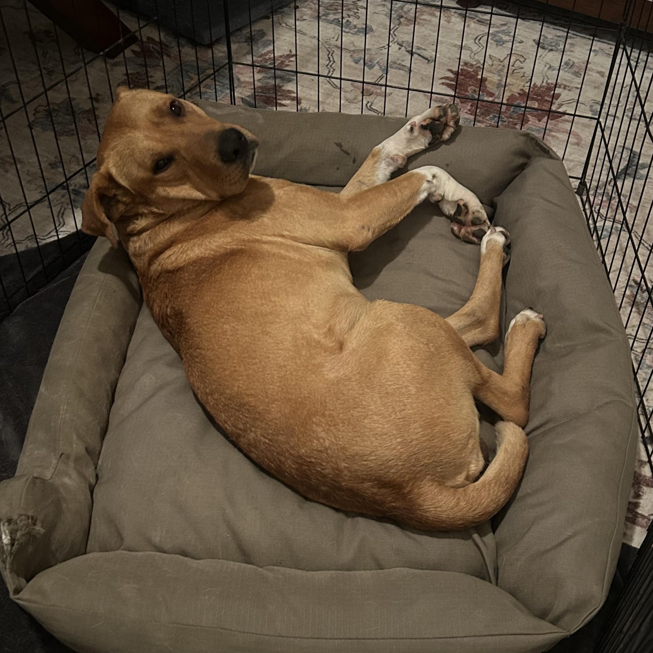 Davidson — thumbnail 2