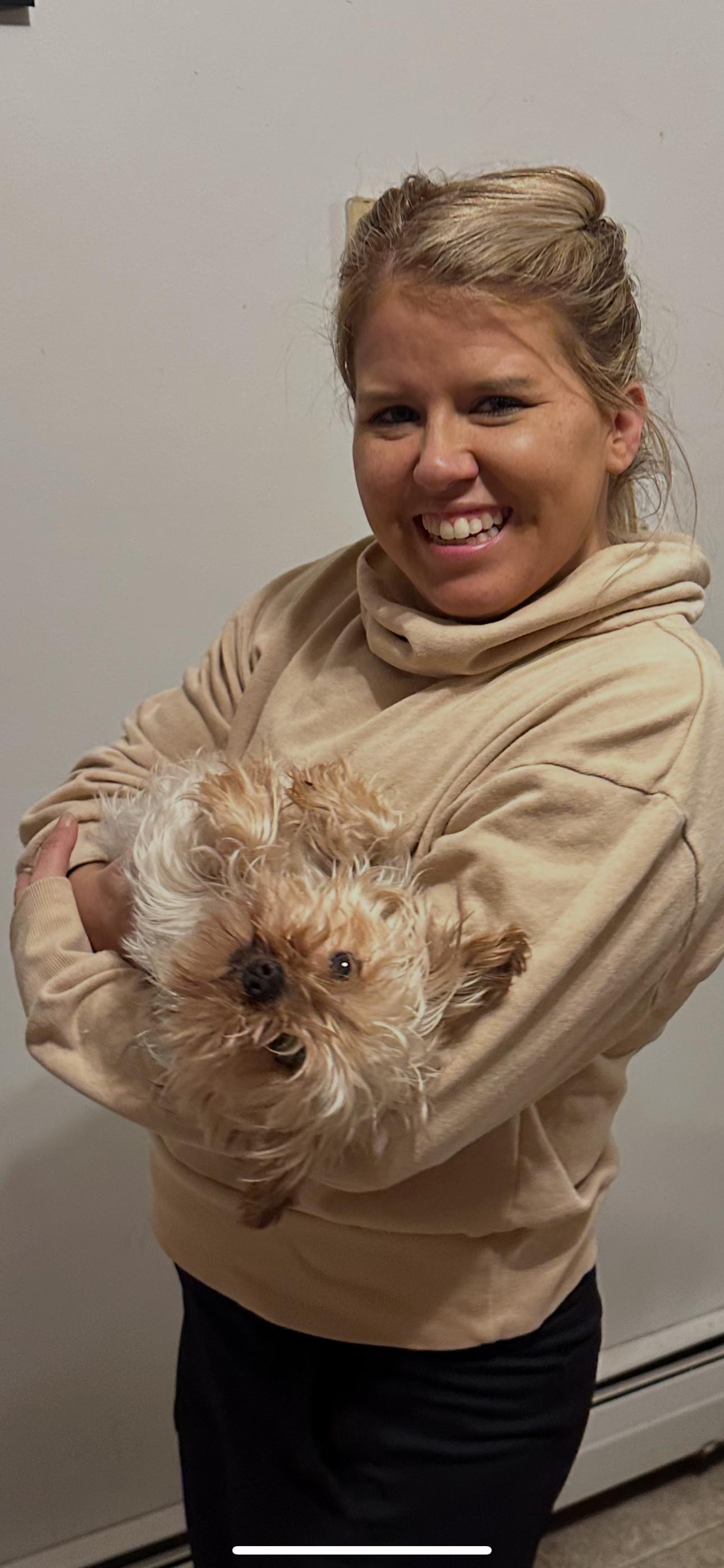 Enlarge Daffodil, a hold Yorkshire Terrier in North Collins, NY image 1/6