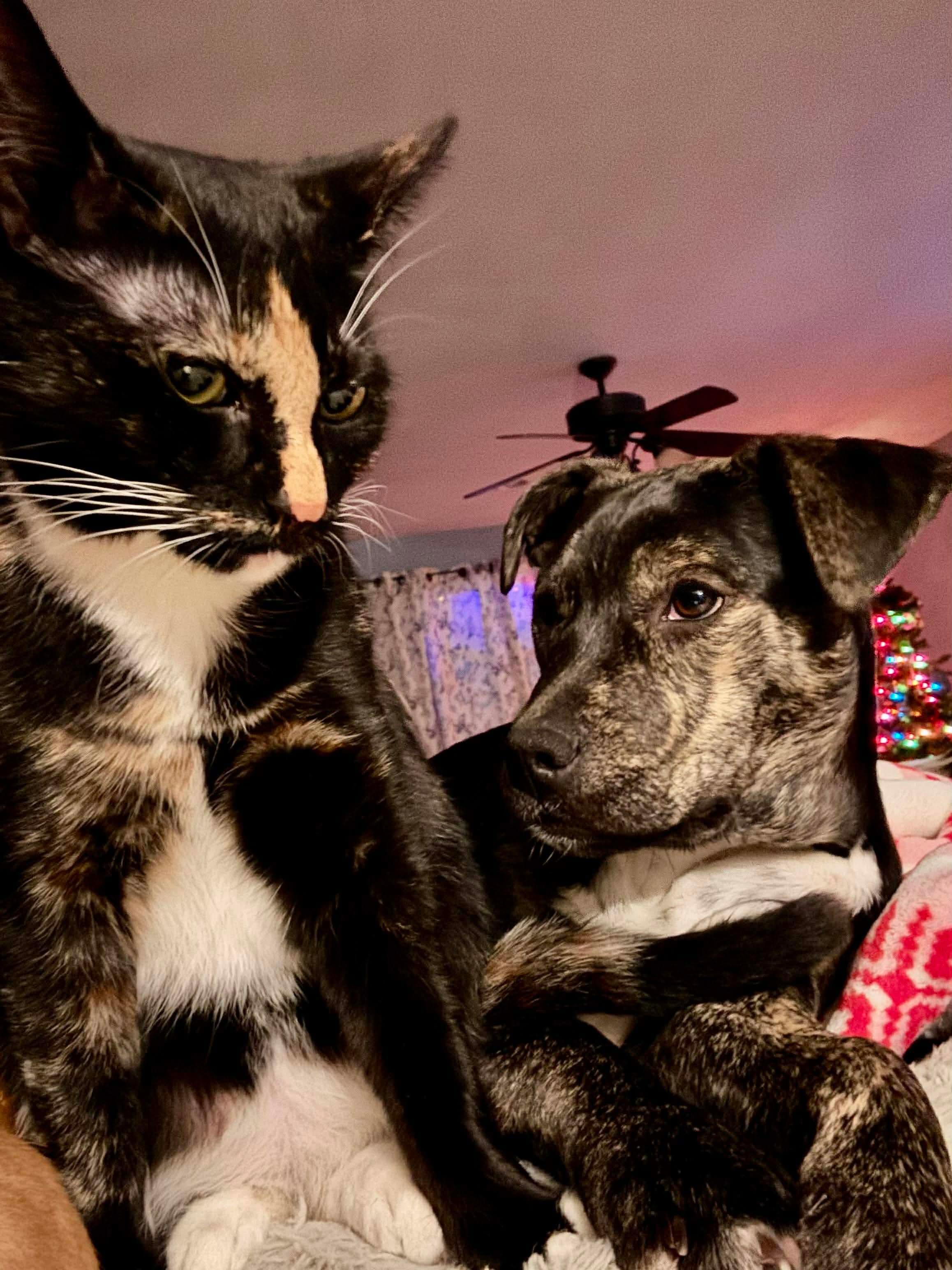 Skittles thumbnail 2