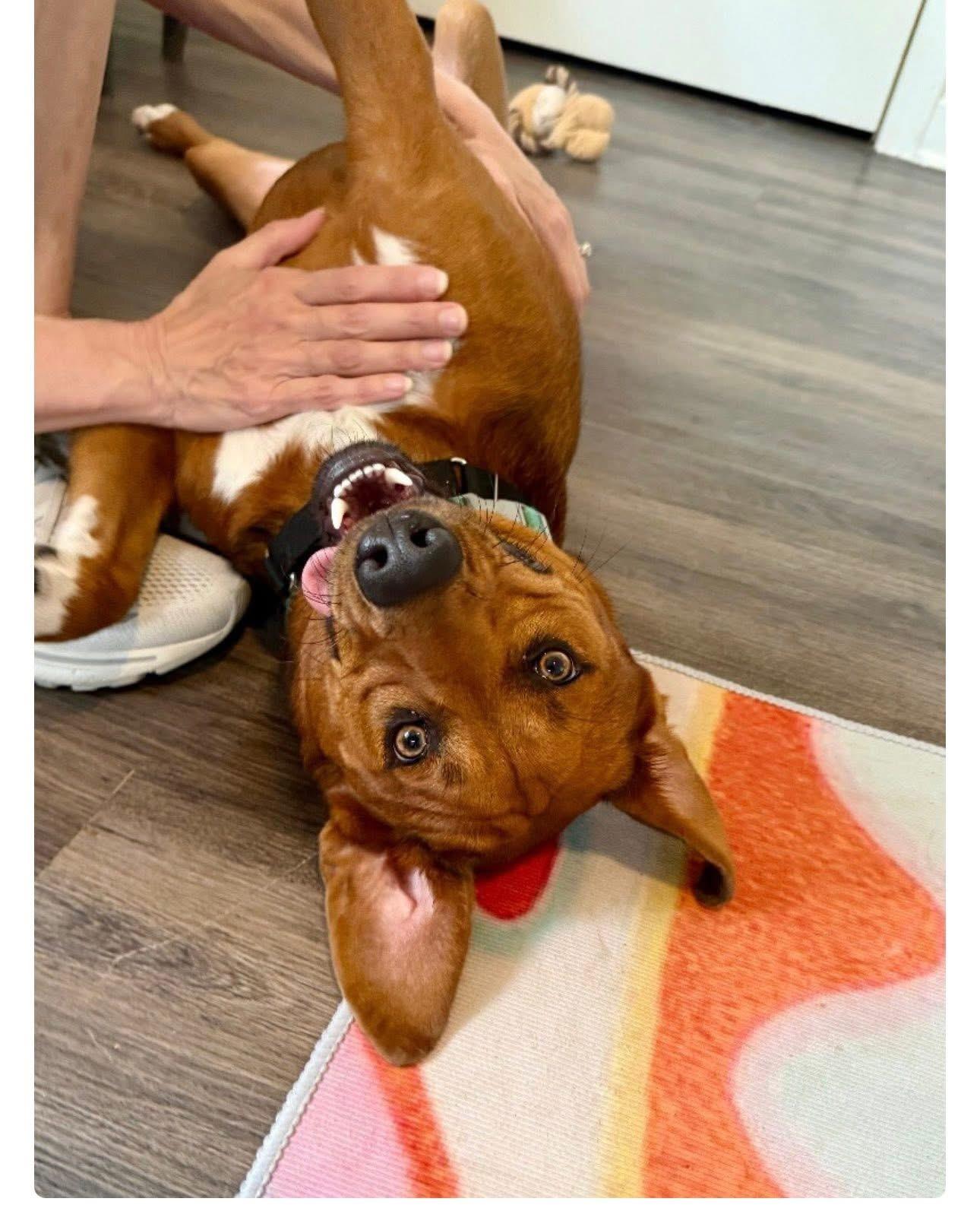 Charlie Brown thumbnail 5