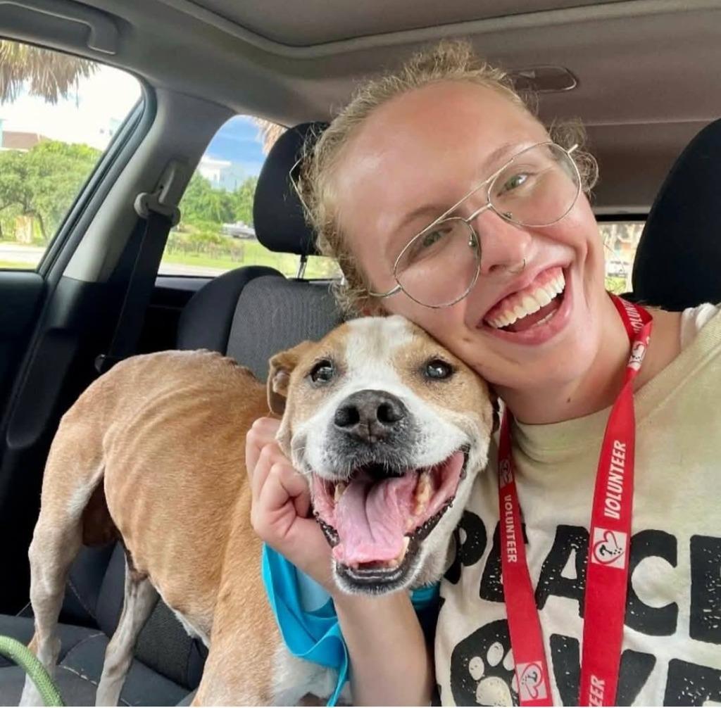 Trooper — thumbnail 2