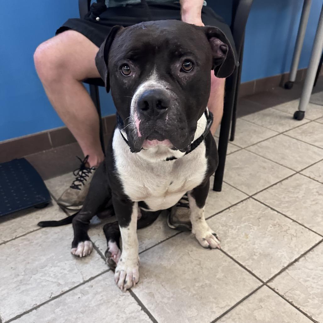 Ludwig 1209 — thumbnail 5