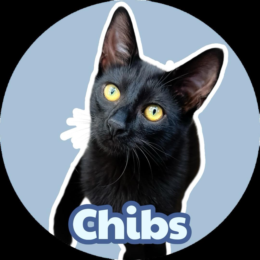 Chibs
