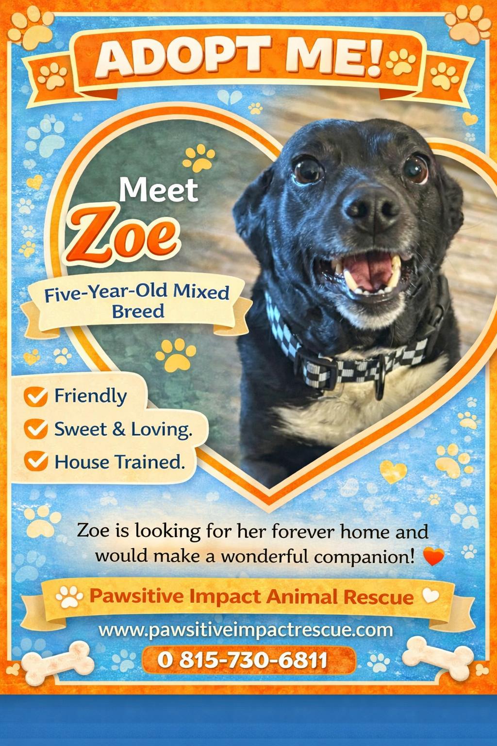Enlarge Zoey, a ADOPTABLE mixed breed in Joliet, IL image 2/2