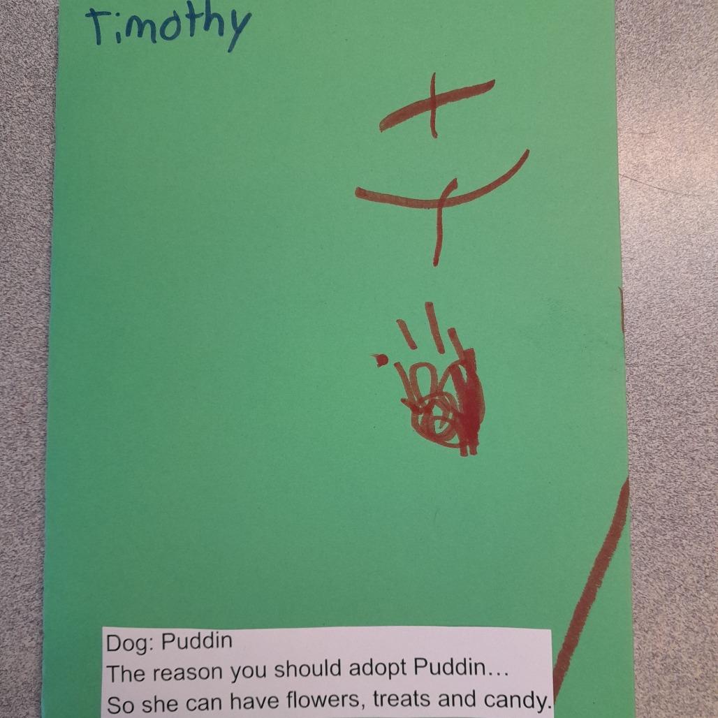 PUDDIN, a Adoptable American Staffordshire Terrier in Pagosa Springs, CO image 3/4